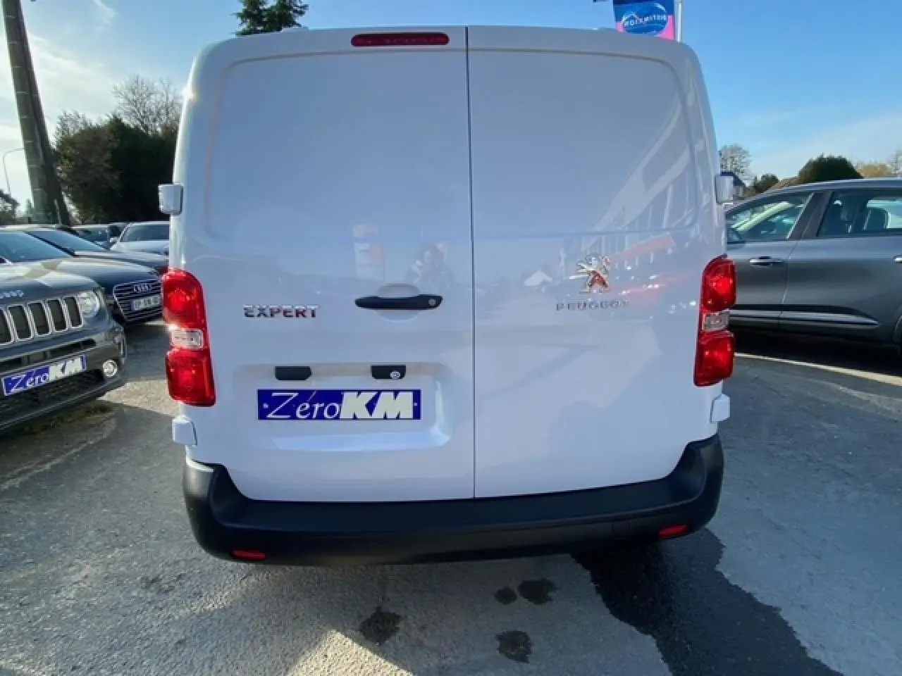 Vue arrière d'un Peugeot Expert Fourgon blanc banquise avec portes battantes et feux rouges visibles.