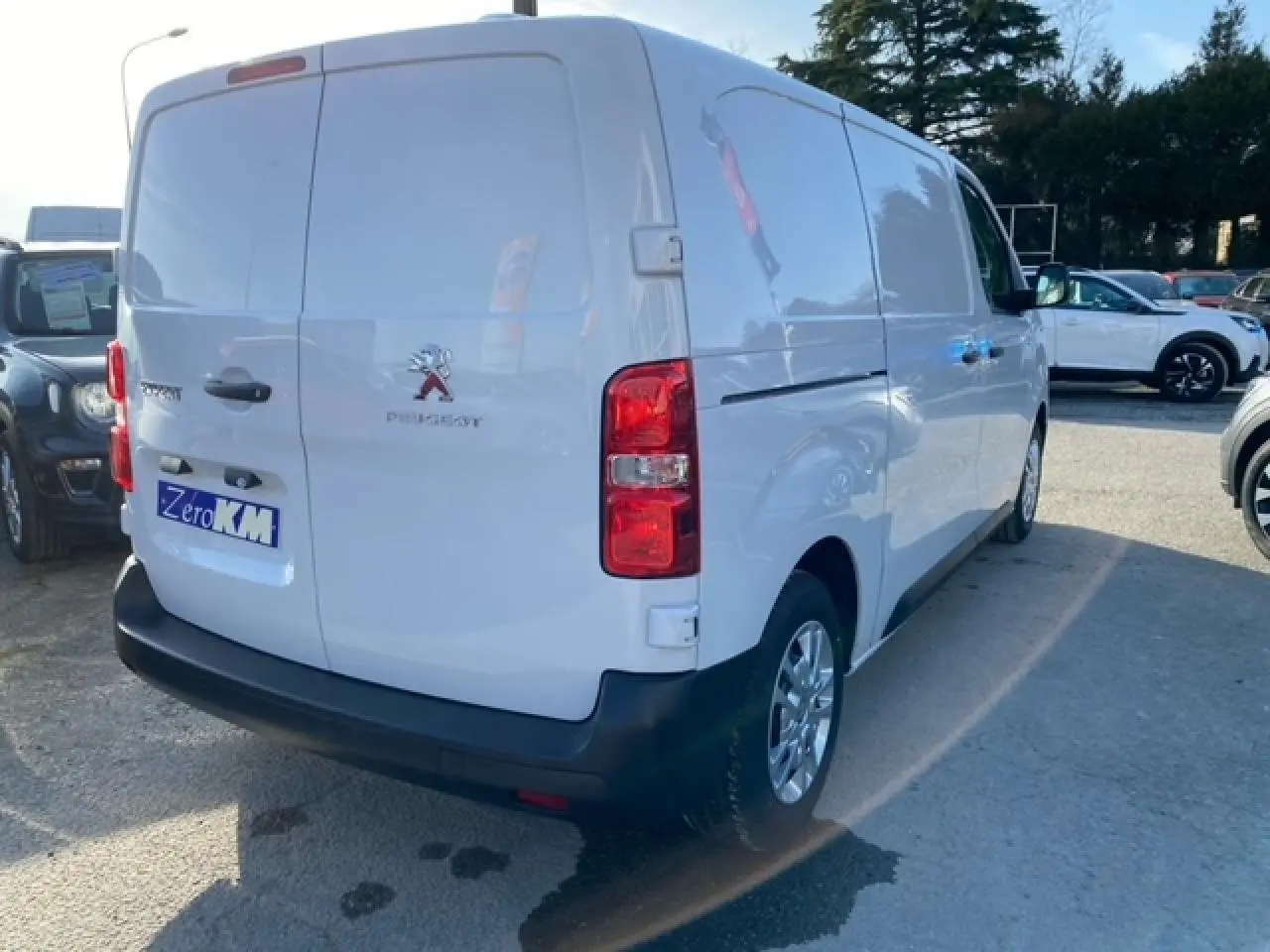 Vue 3/4 arrière droite d'un Peugeot Expert Fourgon blanc banquise avec portes battantes et feux rouges visibles.