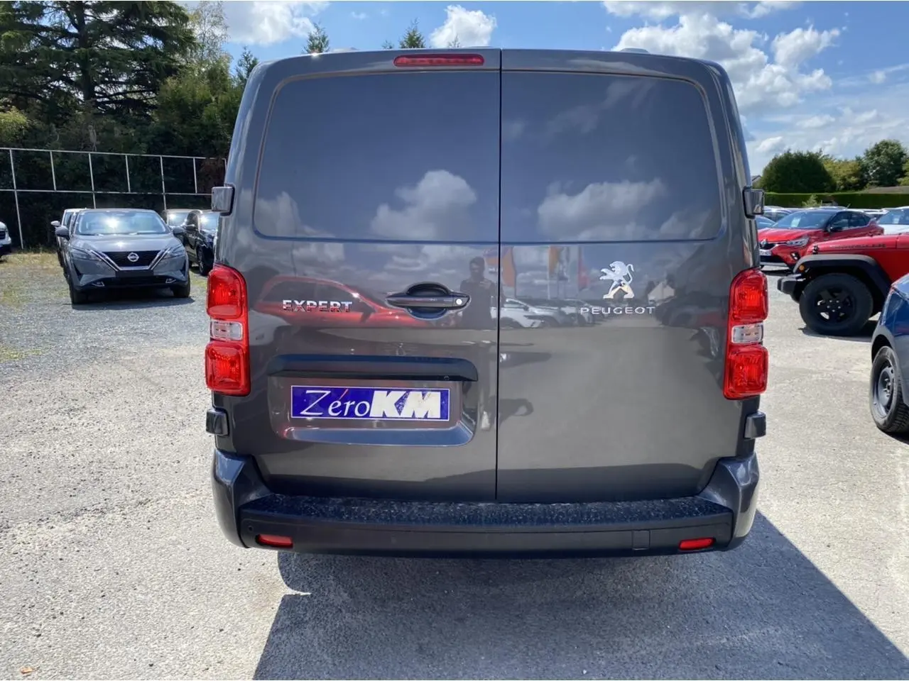 Vue arrière d'un Peugeot Expert Fourgon gris platinium avec portes battantes et logo visible au centre.