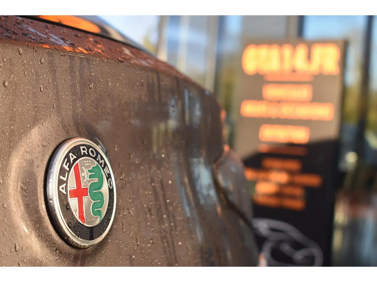 Gros plan sur l'emblème Alfa Romeo sur la calandre d'un Stelvio gris Vesuvio avec gouttes d'eau visibles.