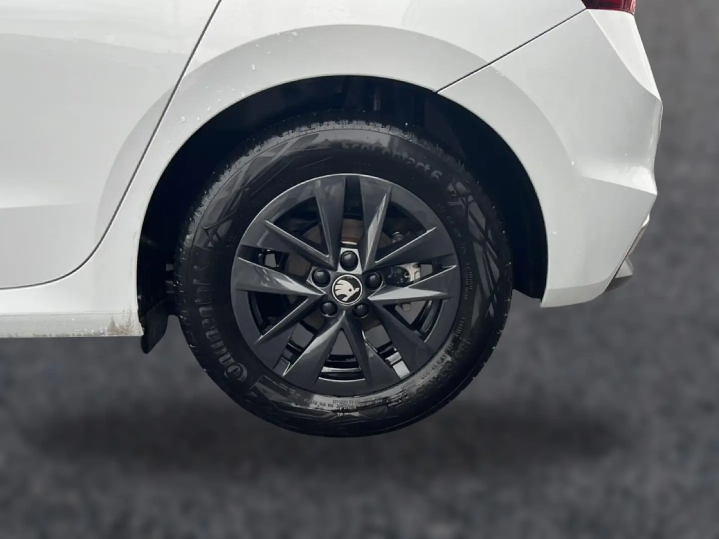 Gros plan sur la roue arrière droite d'une Skoda Fabia blanche avec jante alliage gris foncé et logo central.