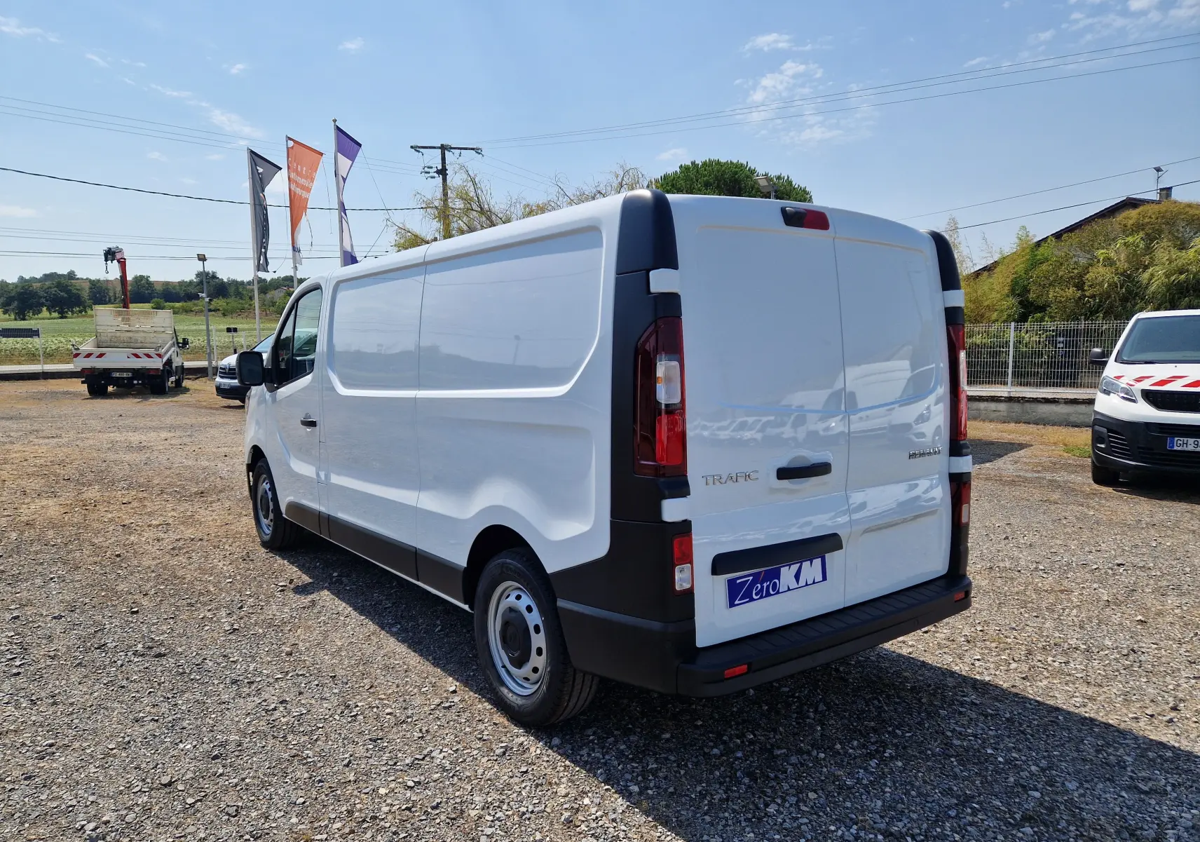 Renault Trafic Fourgon blanc en vue 3/4 arrière droit, avec portes arrière fermées et détails noirs contrastants.