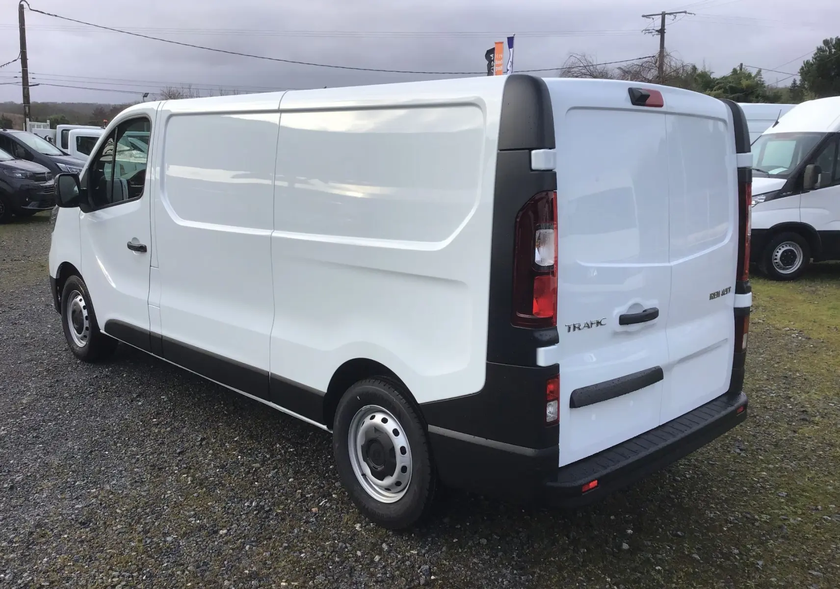 Renault Trafic Fourgon blanc vu en 3/4 arrière droit, avec portes arrière fermées et jantes acier simples.