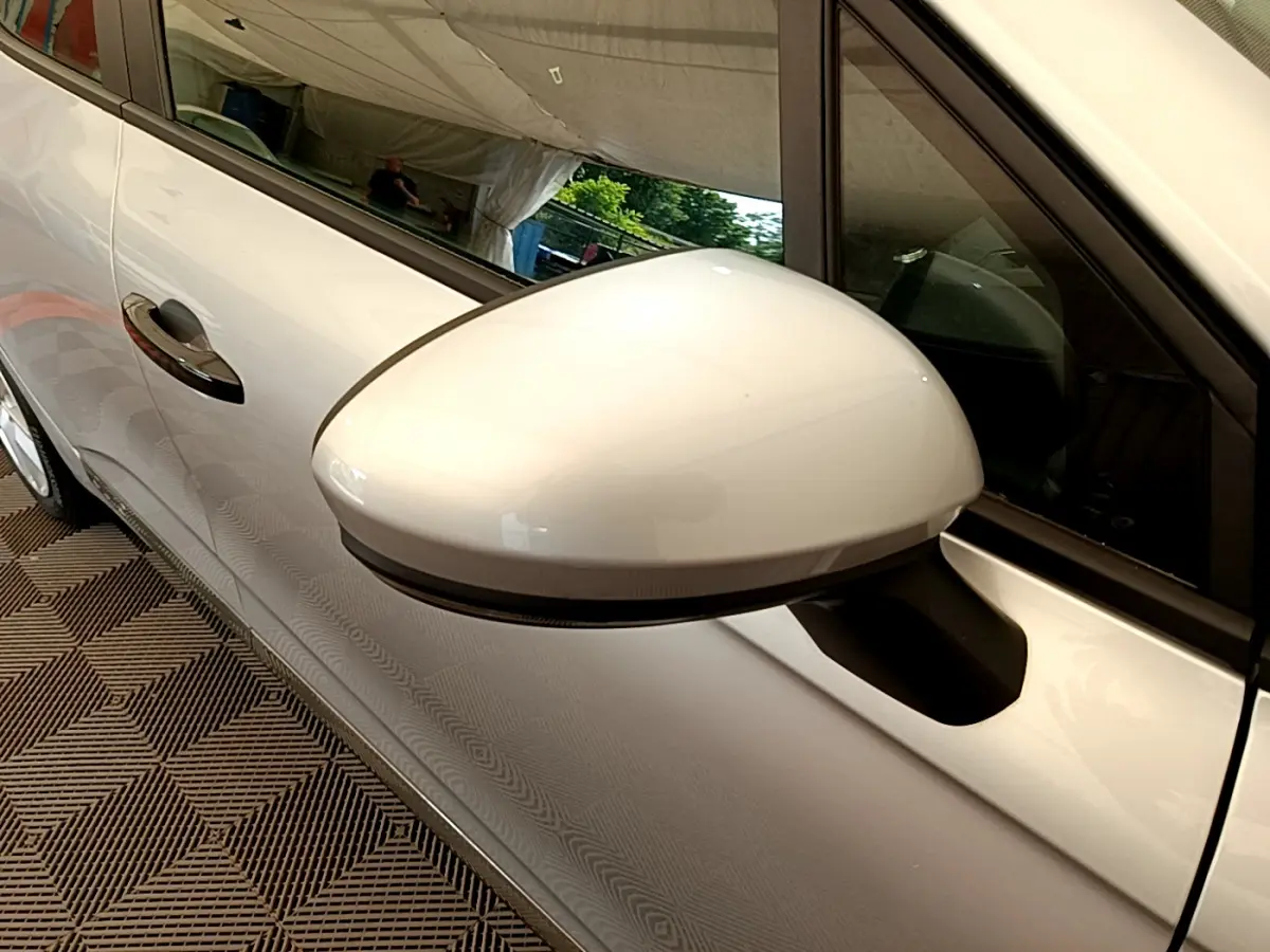 Rétroviseur côté droit gris clair de la Renault Clio Business TCe 100 2020, avec porte et poignée visibles en arrière-plan.