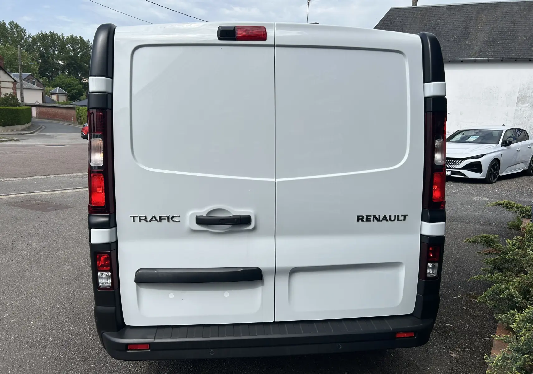 Vue arrière du fourgon Renault Trafic blanc glacier avec portes battantes et poignées noires visibles.