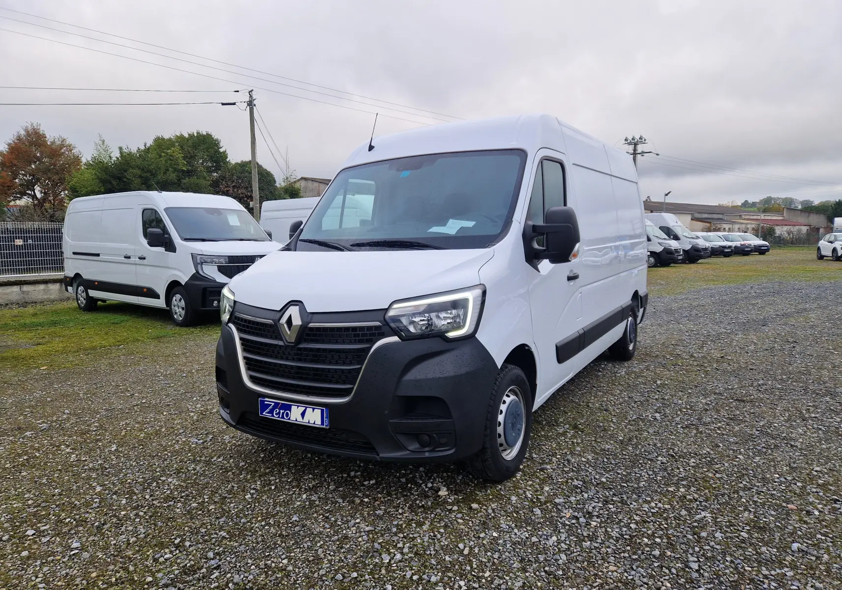 Renault Master blanc en 3/4 avant droit sur parking, avec calandre noire et hayon visible à l'arrière.