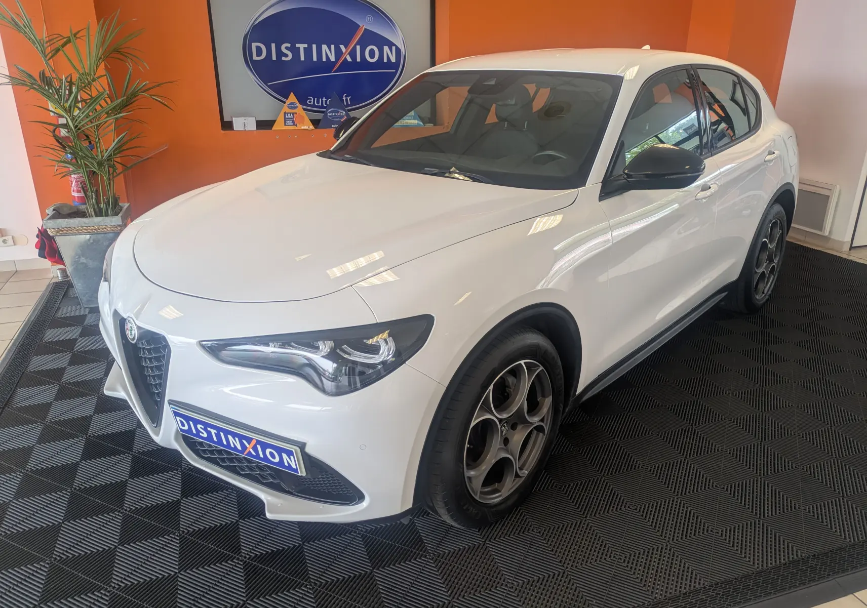 Vue 3/4 avant d'un Alfa Romeo Stelvio blanc 2023 avec jantes biton et rétroviseurs noirs en showroom.