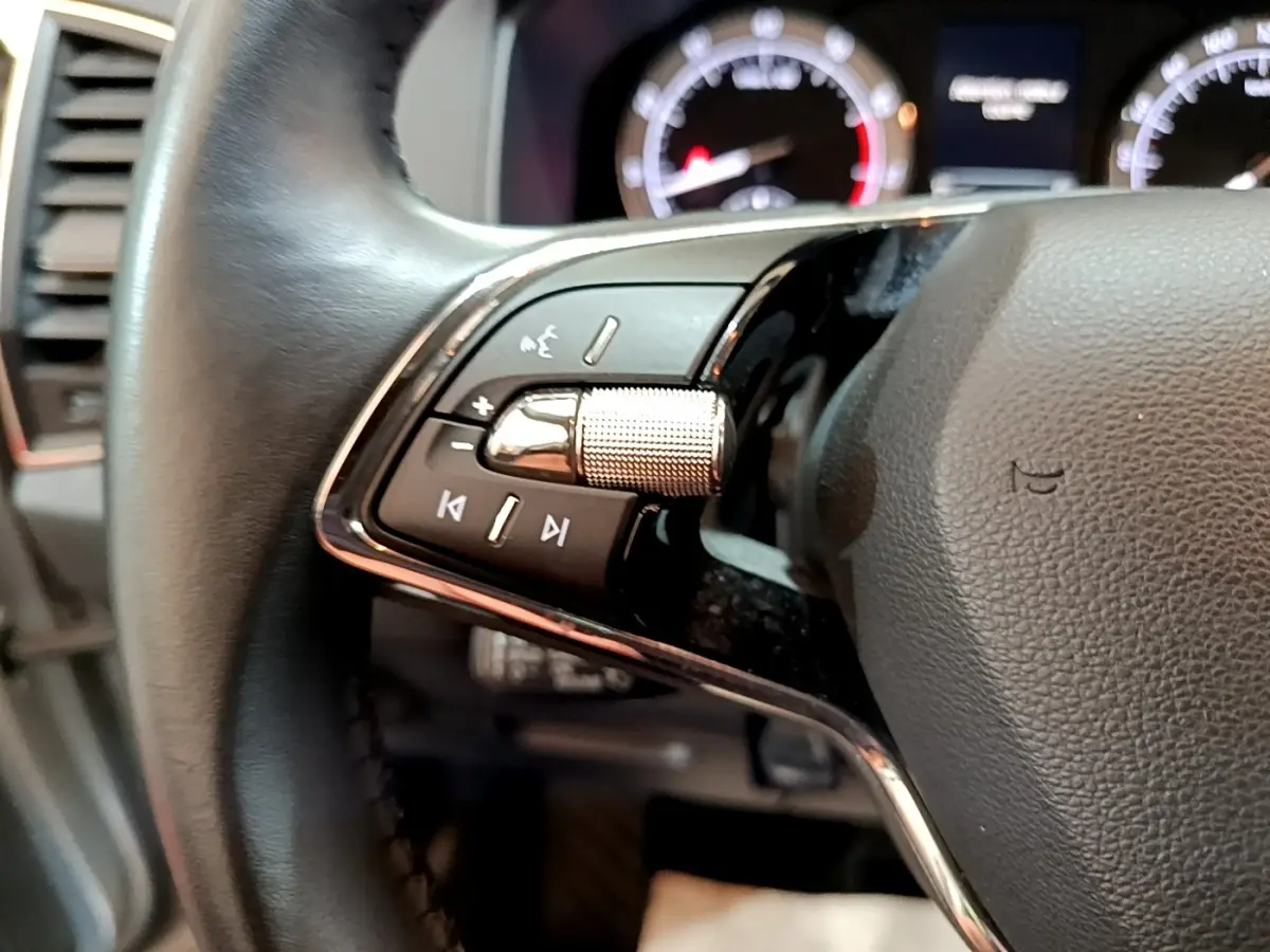 Gros plan sur le volant noir du Skoda Karoq 2022, avec commandes audio et tableau de bord lumineux en arrière-plan.