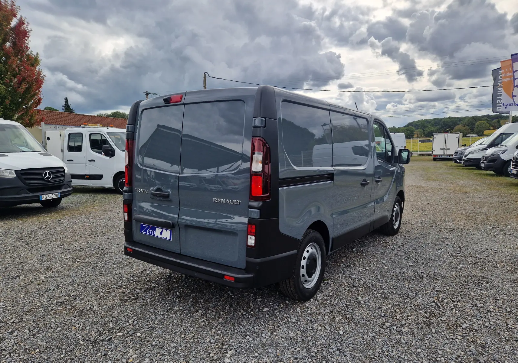 Renault Trafic Fourgon gris urbain vu de l'arrière côté gauche, avec portes arrière fermées sur parking extérieur.