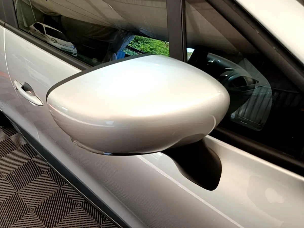 Gros plan sur le rétroviseur côté droit gris clair de la Renault Clio Business TCe 90 2019 avec poignée de porte visible.