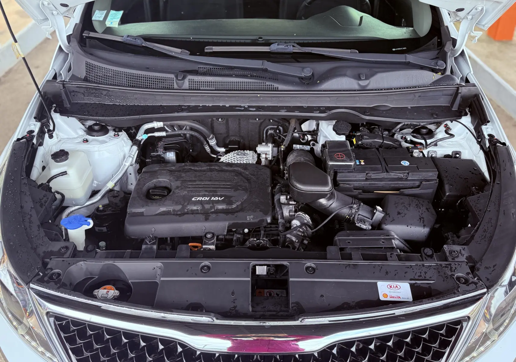 Vue plongeante sur le moteur CRDI 1.7 diesel d'un Kia Sportage blanc avec capot ouvert, montrant les composants sous le capot.