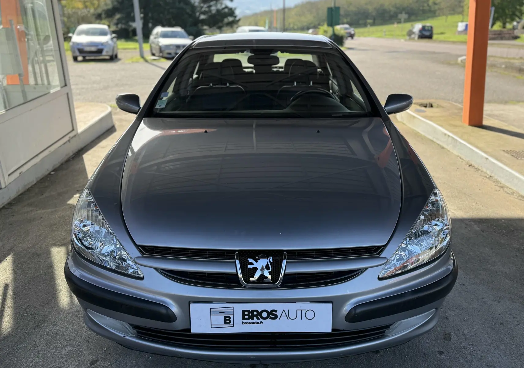 Peugeot 607 gris vue de face sous un auvent, mettant en valeur sa calandre et ses phares nets.