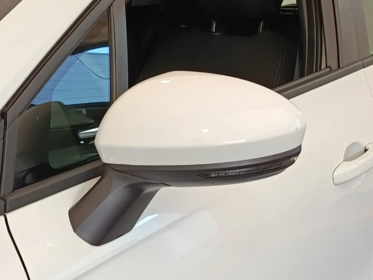 Rétroviseur droit blanc de la Renault Clio Business Blue dCi 100, vue rapprochée sur la portière avant.