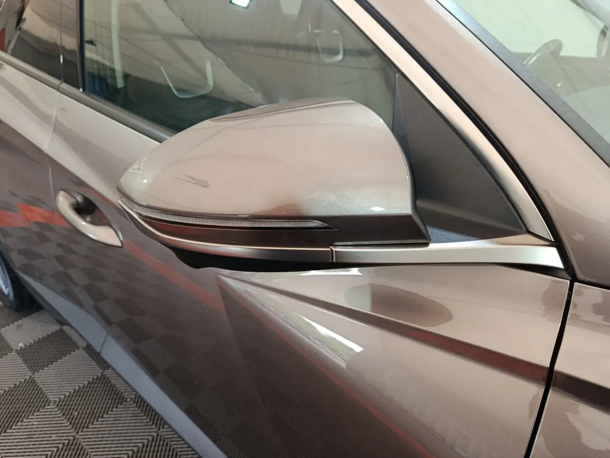 Rétroviseur côté gauche marron du Hyundai Tucson 2022 1.6 PHEV, avec clignotant intégré et poignée de porte visible.