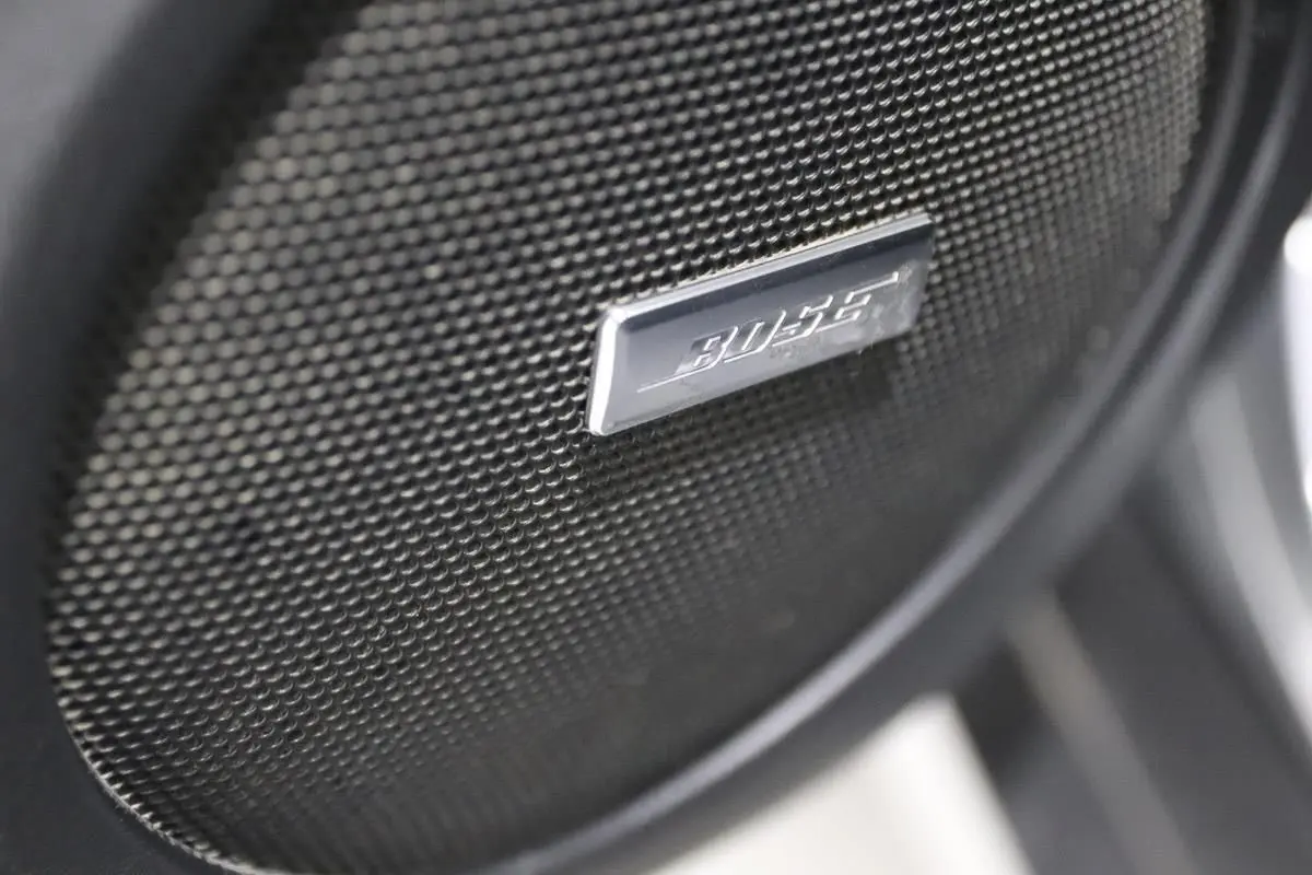 Gros plan sur l'enceinte Bose noire intégrée dans la porte intérieure du Nissan X-Trail gris métallisé.