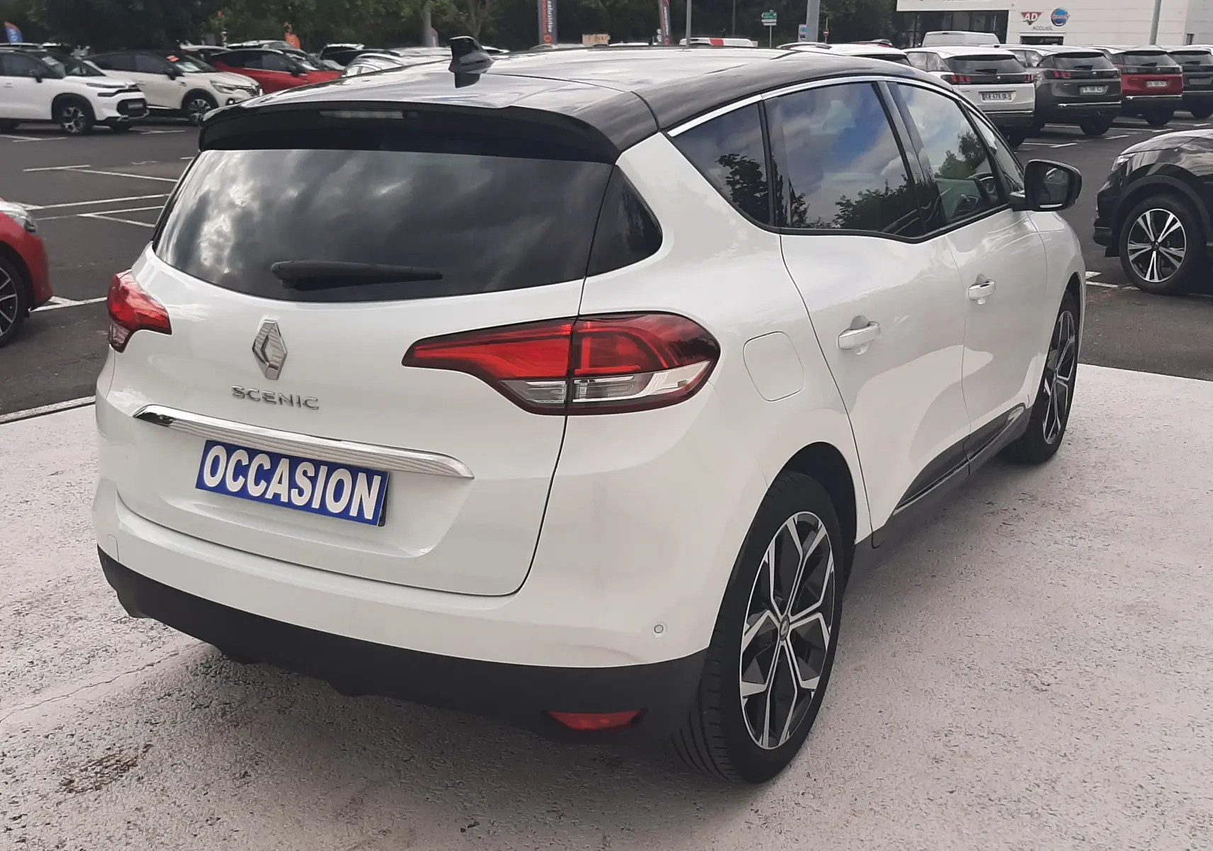 Vue 3/4 arrière droite d'une Renault Scénic IV blanc nacré avec toit noir, sur parking, badge et feux arrière visibles.