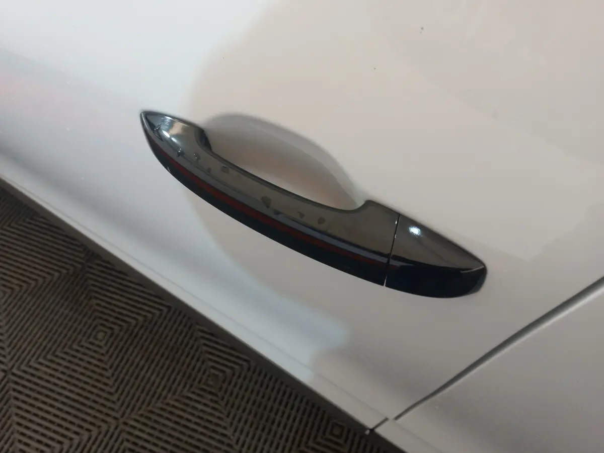 Poignée de porte noire sur la porte avant gauche d'une Renault Clio Business blanche vue en gros plan.