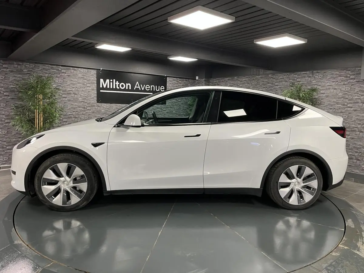 Profil côté gauche d'une Tesla Model Y blanche nacrée RWD 2022 dans un showroom avec mur gris et plantes.