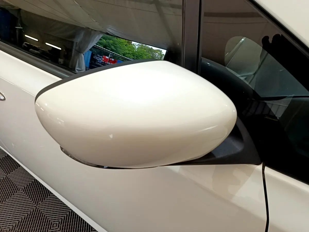 Rétroviseur blanc côté gauche d'une Nissan Leaf 62 kWh 217ch Business+ 2020, vue rapprochée sur la portière.