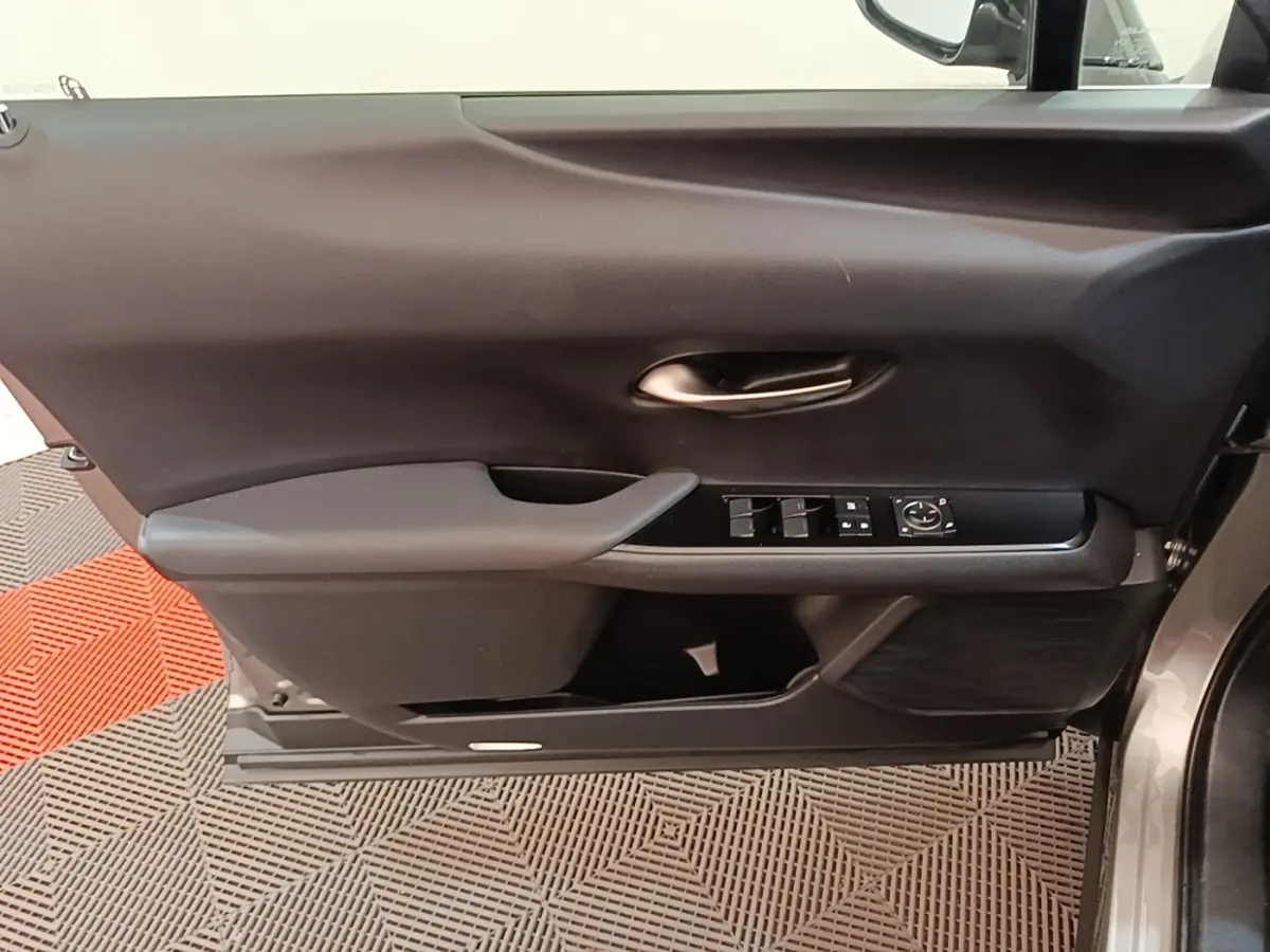 Vue intérieure côté gauche de la porte avant gris clair du Lexus UX 250H avec commandes électriques et poignée intégrée.