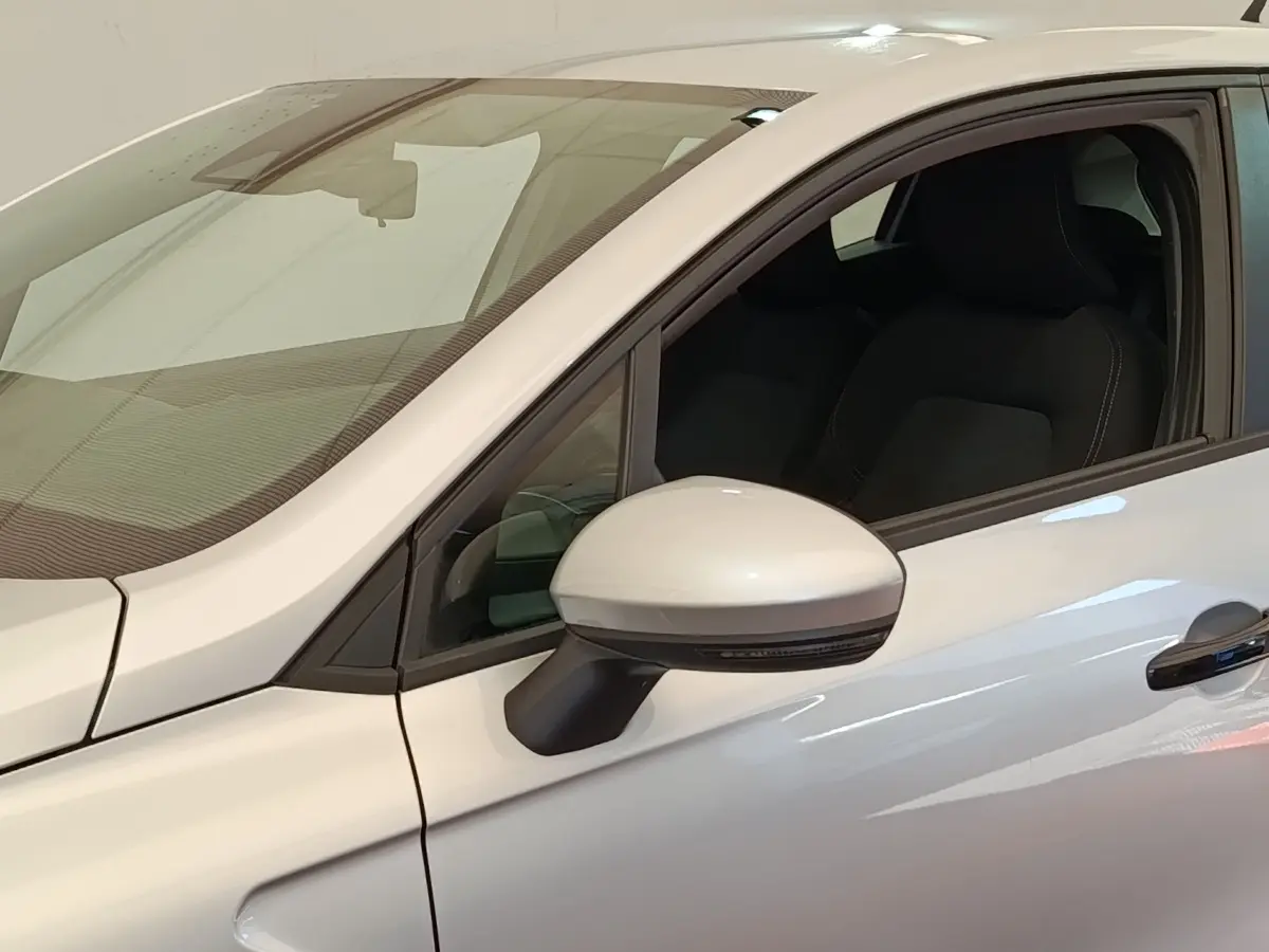 Vue rapprochée côté gauche de la Renault Clio Business gris clair, mettant en valeur le rétroviseur et la portière avant.