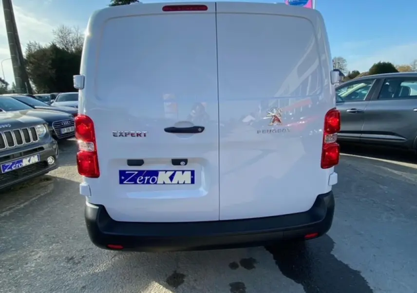 Vue arrière d'un Peugeot Expert Fourgon blanc banquise avec portes battantes et feux rouges visibles.