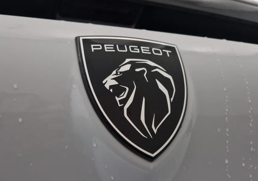 Gros plan sur le logo noir et blanc Peugeot sur la calandre d'une 308 blanche Okenite 2025, avec gouttes d'eau visibles.