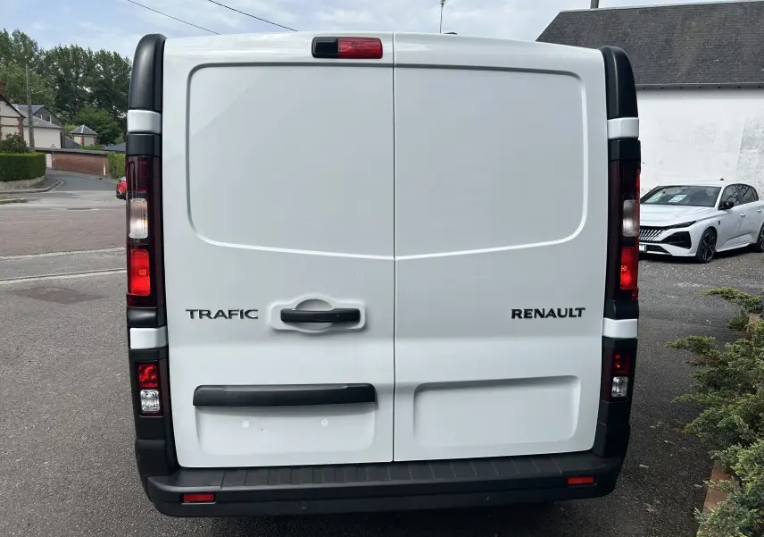Vue arrière du fourgon Renault Trafic blanc glacier avec portes battantes et poignées noires visibles.