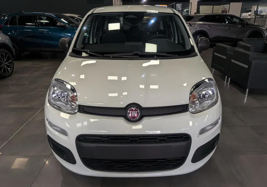 Vue frontale d'une Fiat Panda 1.0 70 CH Hybrid City blanche Gelato, avec calandre noire et logo Fiat central en concession.