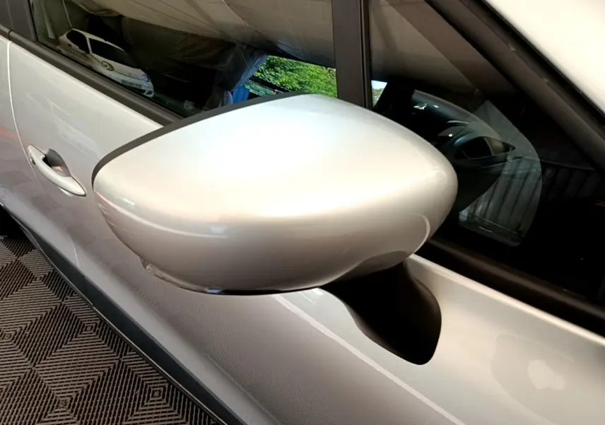 Gros plan sur le rétroviseur côté droit gris clair de la Renault Clio Business TCe 90 2019 avec poignée de porte visible.