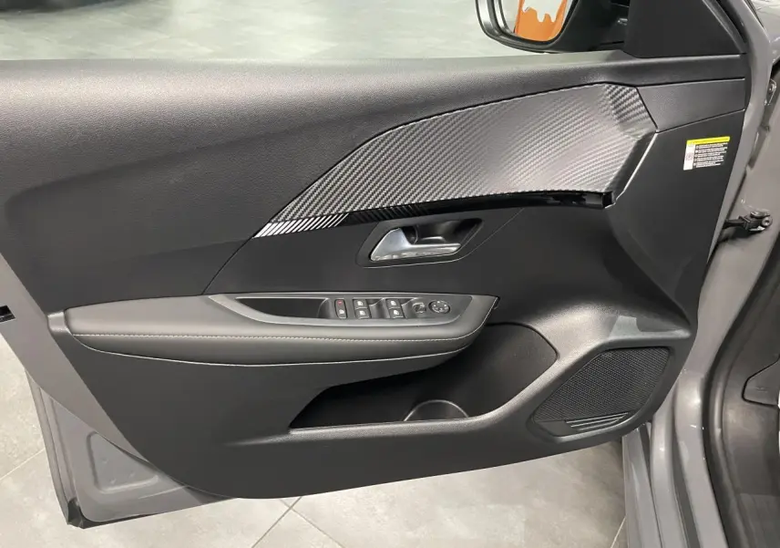 Vue intérieure côté gauche de la porte avant gris selenium avec insert carbone et commandes électriques.