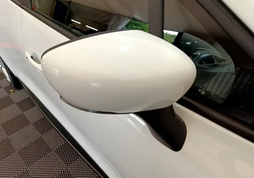 Rétroviseur côté gauche blanc de la Renault Clio Business TCe 90 2019, vue rapprochée sur la portière avant.