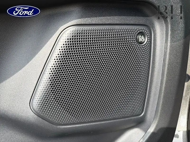 Gros plan sur l'enceinte B&O intégrée à la porte intérieure noire du Ford Kuga gris Magnetic 2026.