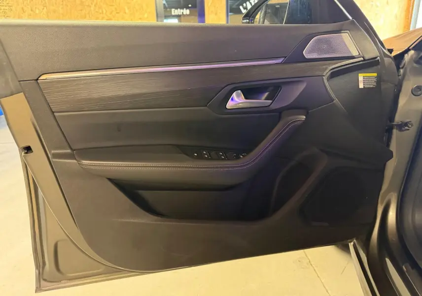 Vue intérieure côté gauche de la porte avant d’une Peugeot 508 gris, avec garniture noire et inserts bois.