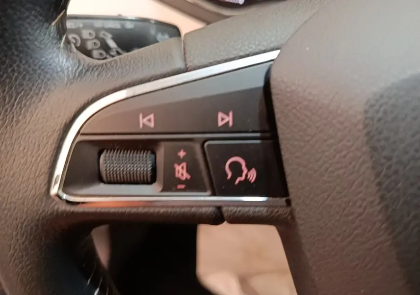 Gros plan sur les commandes vocales et audio au volant cuir noir du SEAT Arona gris clair 2019.