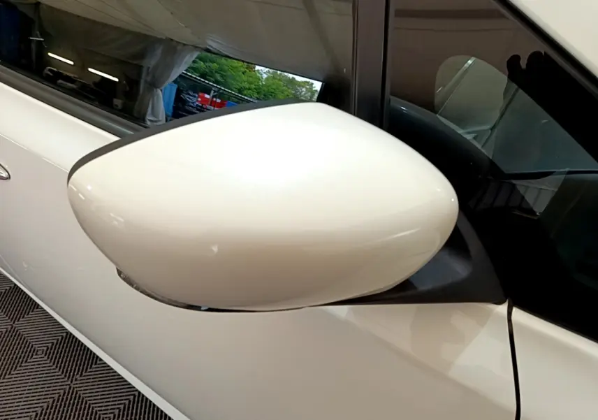 Rétroviseur blanc côté gauche d'une Nissan Leaf 62 kWh 217ch Business+ 2020, vue rapprochée sur la portière.