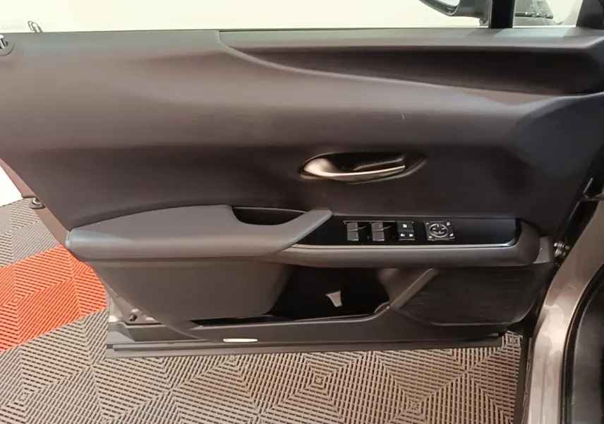 Vue intérieure côté gauche de la porte avant gris clair du Lexus UX 250H avec commandes électriques et poignée intégrée.